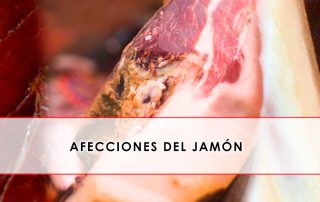 afecciones del jamon