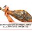 colocar el jamón en el jamonero correctamente