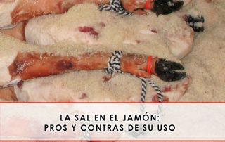 la sal en el jamón: pros y contras de su uso
