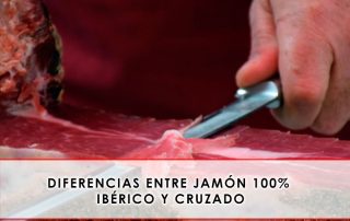 diferencias entre jamón 100% ibérico y cruzado