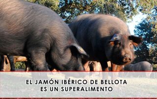 el jamón ibérico de bellota es un superalimento