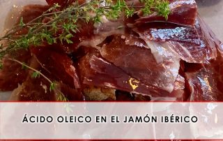 Ácido oleico en el jamón ibérico Grupo Julián Becerro
