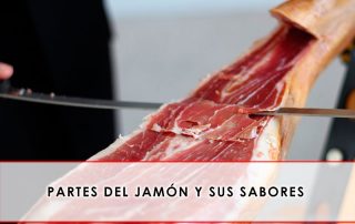 Partes del jamón y sus sabores - Grupo Julián Becerro