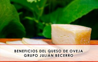 Beneficios del queso de oveja - Grupo Julián Becerro