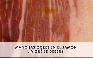 Manchas ocres en el jamón, a qué se deben - Grupo Julián Becerro