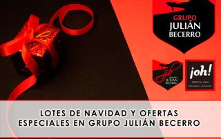 Lotes de Navidad y ofertas especiales en Grupo Julián Becerro